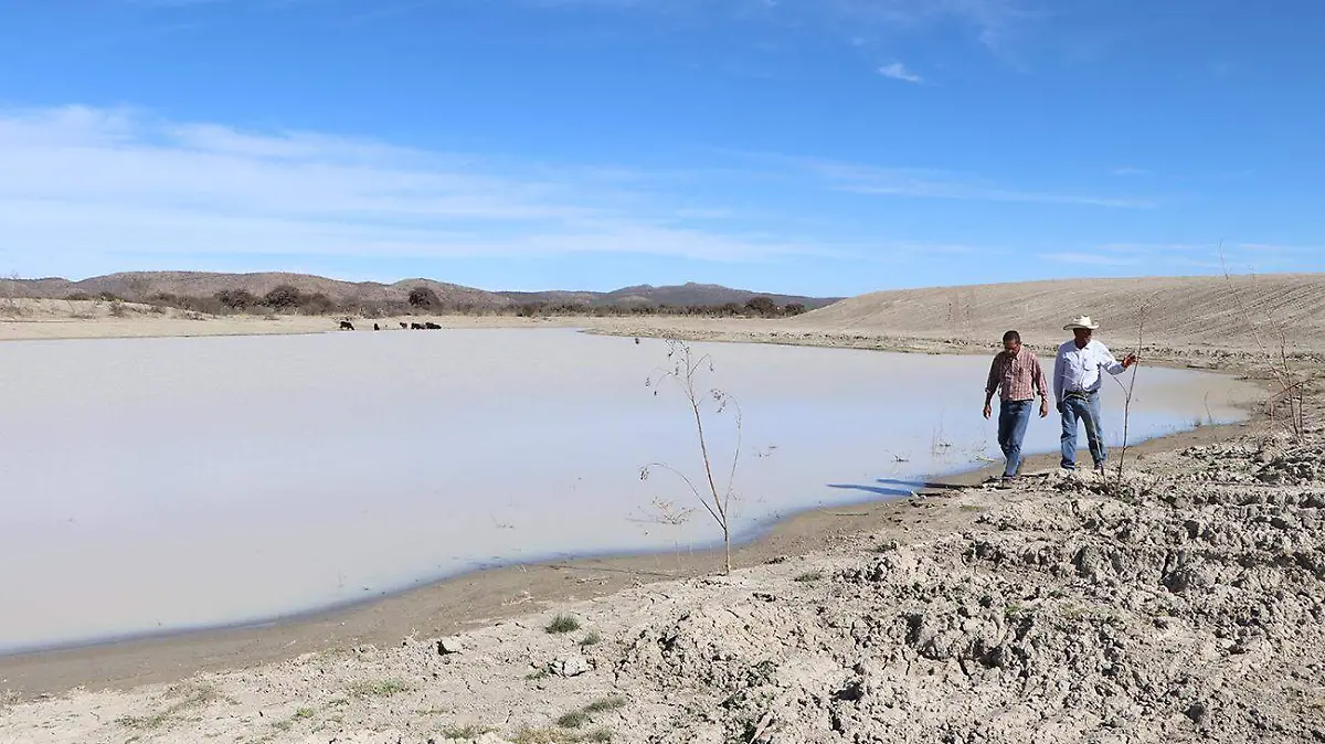 BOCAS AGUA EN ESPACIOS GANADEROS 2